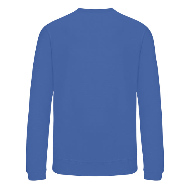 Bright Royal - Back - AWDis Just Hoods Childrens-Kids Sweatshirt