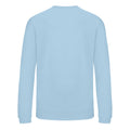 Ice Blue - Back - AWDis Just Hoods Childrens-Kids Sweatshirt
