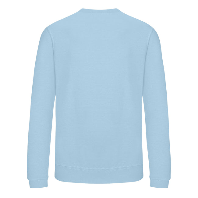 Ice Blue - Back - AWDis Just Hoods Childrens-Kids Sweatshirt