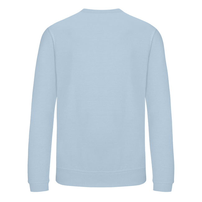 Sky Blue - Back - AWDis Just Hoods Childrens-Kids Sweatshirt