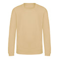 Desert Sand - Front - AWDis Just Hoods Childrens-Kids Sweatshirt