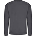 Shark Grey - Back - AWDis Adults Unisex Just Hoods Sweatshirt