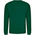 Rainforest Green - Back - AWDis Adults Unisex Just Hoods Sweatshirt