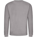 Platinum Grey - Back - AWDis Adults Unisex Just Hoods Sweatshirt