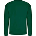 Rainforest Green - Lifestyle - AWDis Adults Unisex Just Hoods Sweatshirt