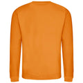 Pumpkin Pie - Back - AWDis Adults Unisex Just Hoods Sweatshirt