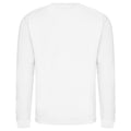 Arctic White - Back - AWDis Adults Unisex Just Hoods Sweatshirt