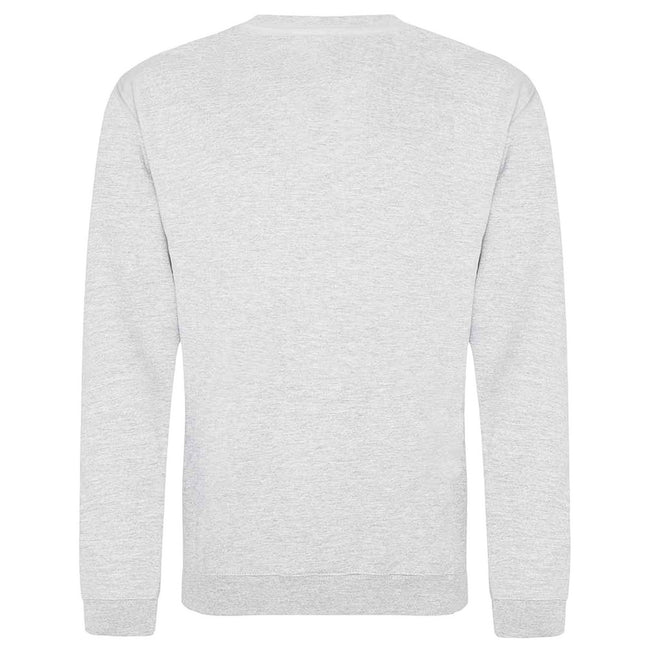 Ash - Back - AWDis Adults Unisex Just Hoods Sweatshirt