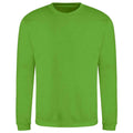 Lime Green - Front - AWDis Adults Unisex Just Hoods Sweatshirt