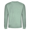 Dusty Green - Back - AWDis Adults Unisex Just Hoods Sweatshirt