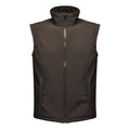 Black-Black - Front - Regatta Professional Mens Ablaze Soft Shell Bodywarmer