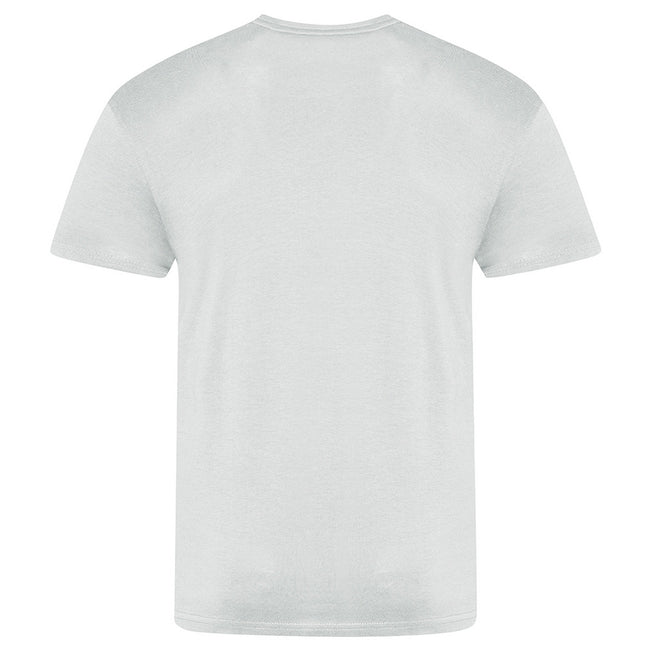 Moondust Grey - Back - AWDis Just Ts Mens The 100 T-Shirt