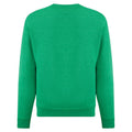Heather Green - Back - Fruit of the Loom Kids-Childrens Classic Drop Shoulder Sweatshirt