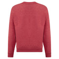 Heather Red - Back - Fruit of the Loom Kids-Childrens Classic Drop Shoulder Sweatshirt
