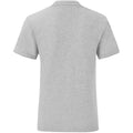 Zinc Grey - Back - Fruit Of The Loom Mens Iconic T-Shirt (Pack Of 5)