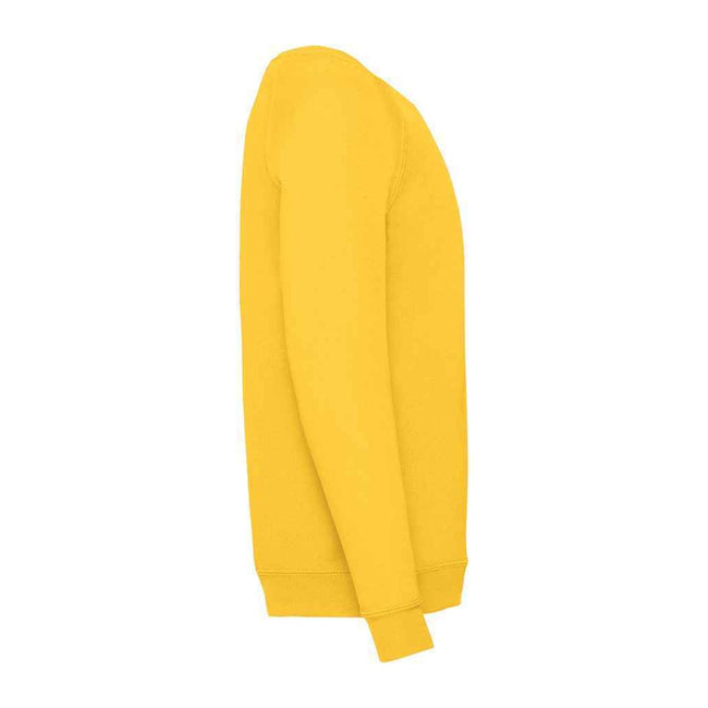 Sunflower Yellow - Lifestyle - Fruit of the Loom Childrens-Kids Classic Raglan Sweatshirt