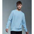 Light Blue - Back - Anthem Unisex Adult Organic Sweatshirt