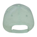 Brook Green - Back - Native Spirit Unisex Adult Faded Washed Baseball Cap