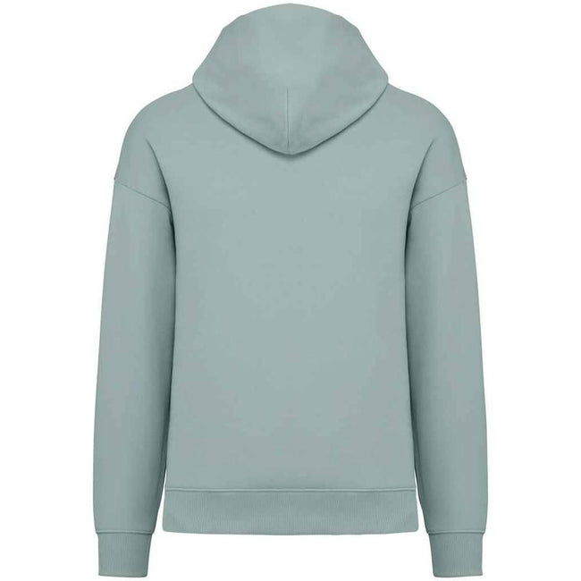 Jade Green - Back - Native Spirit Unisex Adult Oversized Hoodie