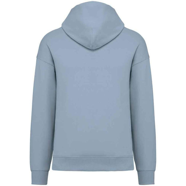 Aquamarine - Back - Native Spirit Unisex Adult Oversized Hoodie