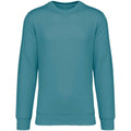 Adriatic Blue - Front - Native Spirit Unisex Adult Crew Neck Sweatshirt