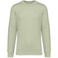 Celadon Green - Front - Native Spirit Unisex Adult Crew Neck Sweatshirt