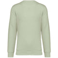 Celadon Green - Back - Native Spirit Unisex Adult Crew Neck Sweatshirt