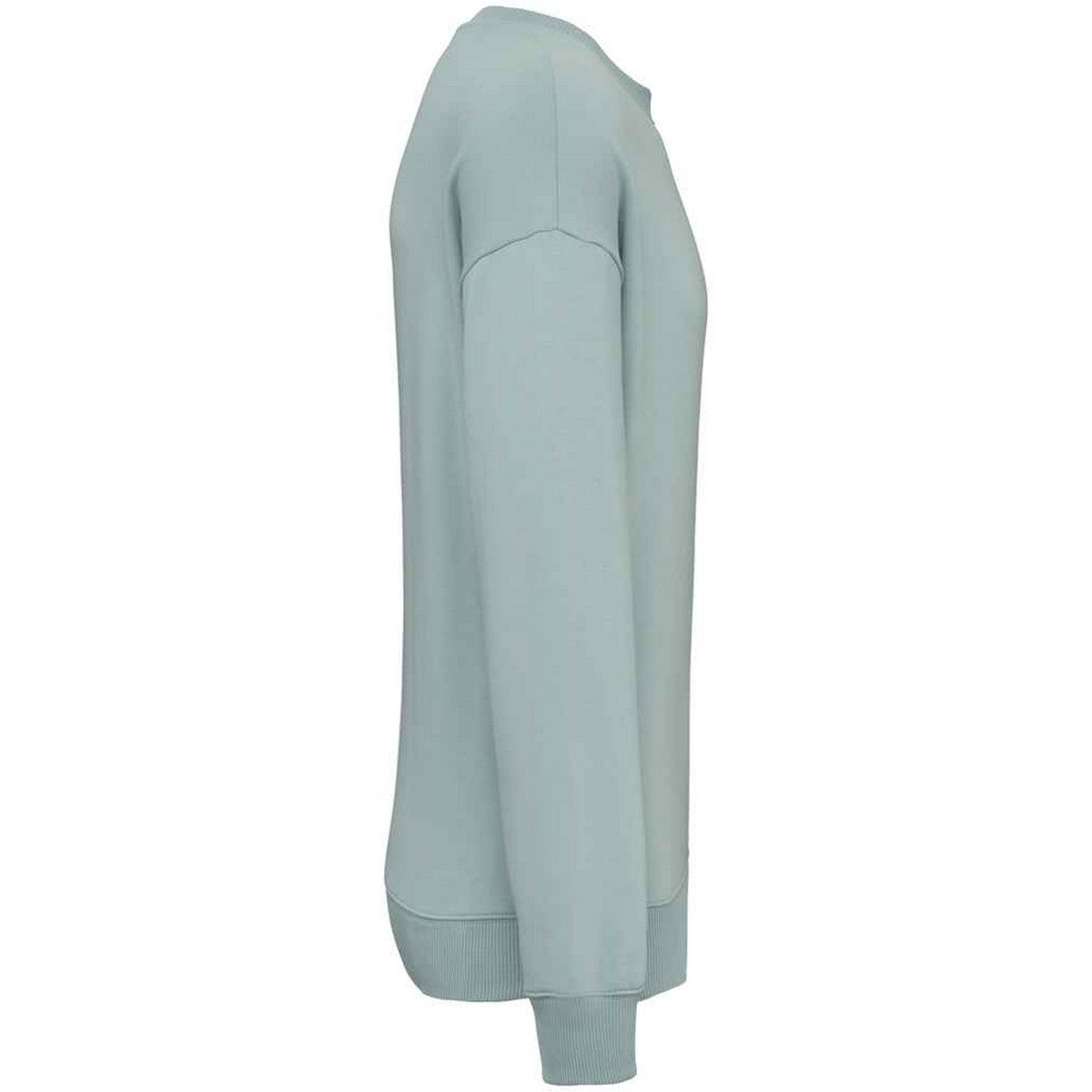 Jade Green - Side - Native Spirit Womens-Ladies Oversized Sweatshirt