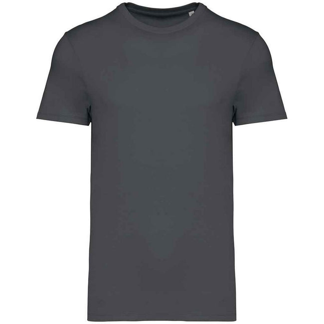 Iron Grey - Front - Native Spirit Unisex Adult Heavyweight Slim T-Shirt