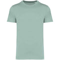 Jade Green - Front - Native Spirit Unisex Adult Heavyweight Slim T-Shirt