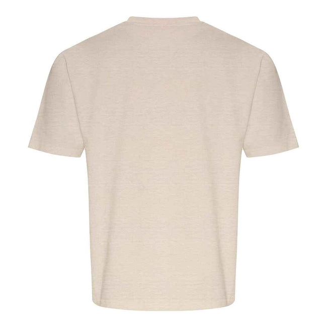 Stone - Back - Ecologie Unisex Adult Arrow Recycled Heavy Oversized T-Shirt
