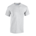 Ash - Front - Gildan Unisex Adult Plain Cotton Heavy T-Shirt