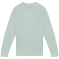 Washed Jade Green - Front - Native Spirit Unisex Adult French Terry Sweatshirt
