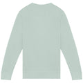 Washed Jade Green - Back - Native Spirit Unisex Adult French Terry Sweatshirt