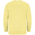 Light Yellow - Back - SOLS Childrens-Kids Columbia Sweatshirt