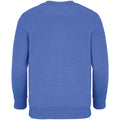 Royal Blue - Back - SOLS Childrens-Kids Columbia Sweatshirt