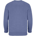 Blue - Back - SOLS Childrens-Kids Columbia Sweatshirt