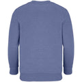 Blue - Back - SOLS Childrens-Kids Columbia Sweatshirt
