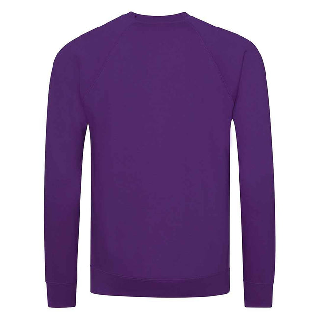 Purple - Back - Awdis Childrens-Kids Academy Raglan Sweatshirt