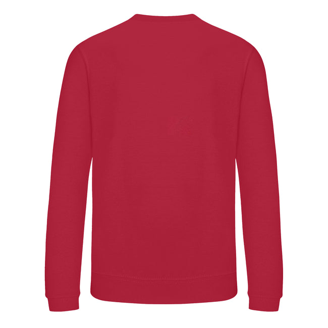 Red - Back - Awdis Childrens-Kids Academy V Neck Sweatshirt