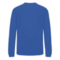 Royal Blue - Back - Awdis Childrens-Kids Academy V Neck Sweatshirt