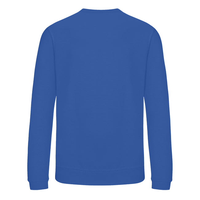 Royal Blue - Back - Awdis Childrens-Kids Academy V Neck Sweatshirt