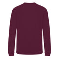 Burgundy - Back - Awdis Childrens-Kids Academy V Neck Sweatshirt