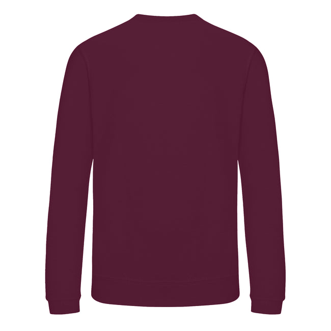 Burgundy - Back - Awdis Childrens-Kids Academy V Neck Sweatshirt