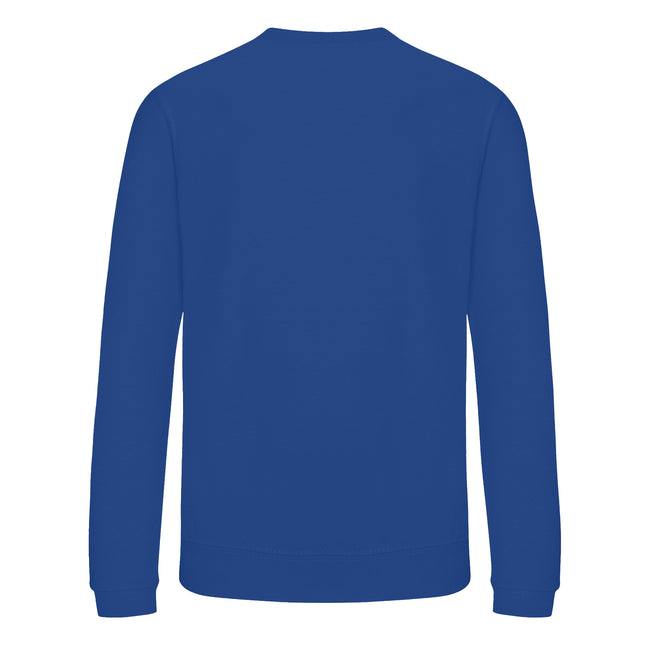 Deep Royal Blue - Back - Awdis Childrens-Kids Academy V Neck Sweatshirt