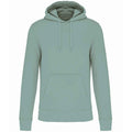 Sage - Front - Kariban Mens Eco Friendly Hoodie
