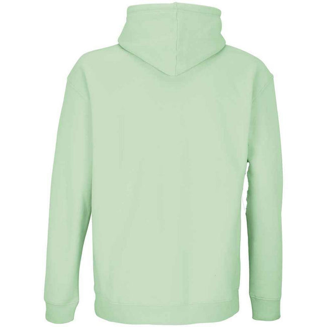 Frozen Green - Back - SOLS Unisex Adult Condor Hoodie