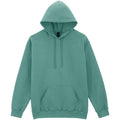 Aquatic - Front - Gildan Mens Midweight Soft Touch Hoodie