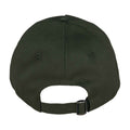 Organic Khaki - Back - Native Spirit 5 Panel Baseball Cap