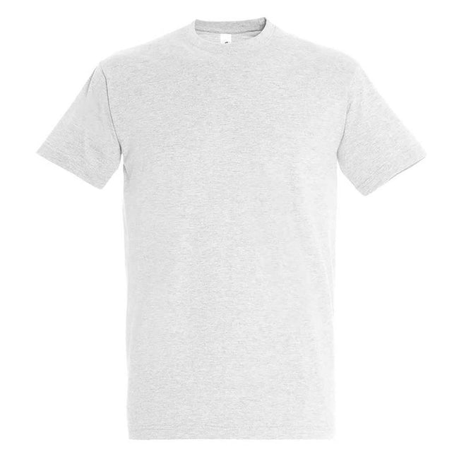 Ash - Front - SOLS Unisex Adult Imperial Heavy T-Shirt